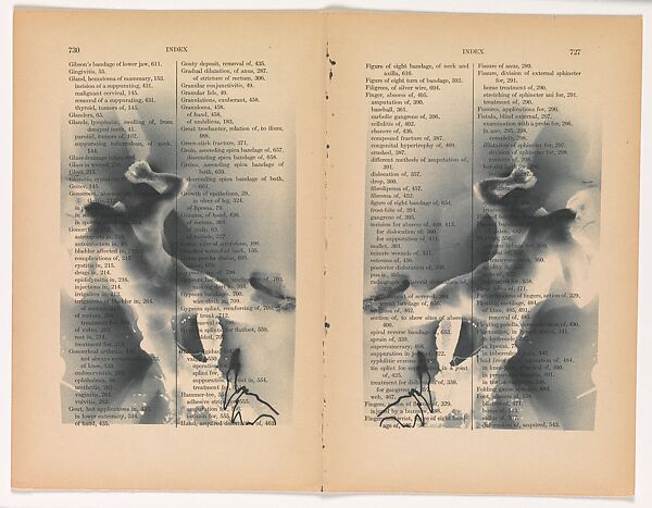 untitled (NS; double index)