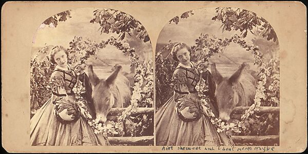 [Group of 250 Stereograph Views From the London Stereoscopic Company, 1860-1870, Many Hand-Colored to Illustrate Books], London Stereoscopic Company (British), Albumen silver prints