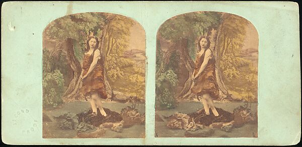 [Group of 250 Stereograph Views From the London Stereoscopic Company, 1860-1870, Many Hand-Colored to Illustrate Books], London Stereoscopic Company (British), Albumen silver prints