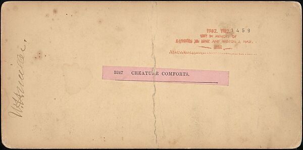 [Group of 250 Stereograph Views From the London Stereoscopic Company, 1860-1870, Many Hand-Colored to Illustrate Books], London Stereoscopic Company (British), Albumen silver prints