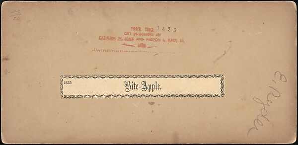 [Group of 250 Stereograph Views From the London Stereoscopic Company, 1860-1870, Many Hand-Colored to Illustrate Books], London Stereoscopic Company (British), Albumen silver prints