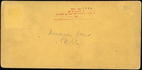 [Group of 250 Stereograph Views From the London Stereoscopic Company, 1860-1870, Many Hand-Colored to Illustrate Books], London Stereoscopic Company (British), Albumen silver prints