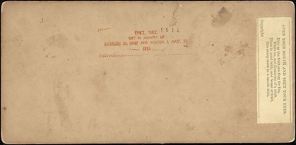 [Group of 250 Stereograph Views From the London Stereoscopic Company, 1860-1870, Many Hand-Colored to Illustrate Books], London Stereoscopic Company (British), Albumen silver prints