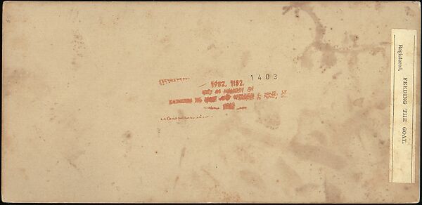 [Group of 250 Stereograph Views From the London Stereoscopic Company, 1860-1870, Many Hand-Colored to Illustrate Books], London Stereoscopic Company (British), Albumen silver prints