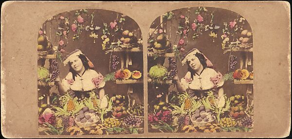 [Group of 250 Stereograph Views From the London Stereoscopic Company, 1860-1870, Many Hand-Colored to Illustrate Books], London Stereoscopic Company (British), Albumen silver prints