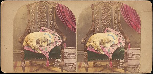 [Group of 250 Stereograph Views From the London Stereoscopic Company, 1860-1870, Many Hand-Colored to Illustrate Books], London Stereoscopic Company (British), Albumen silver prints