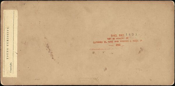 [Group of 250 Stereograph Views From the London Stereoscopic Company, 1860-1870, Many Hand-Colored to Illustrate Books], London Stereoscopic Company (British), Albumen silver prints