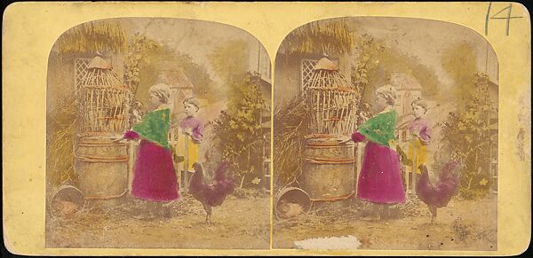 [Group of 250 Stereograph Views From the London Stereoscopic Company, 1860-1870, Many Hand-Colored to Illustrate Books], London Stereoscopic Company (British), Albumen silver prints