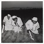 Three Women In A Country Funeral, Long Xian, Shaanxi Province 
, Liu Zheng  Chinese, Gelatin silver print