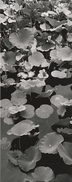 Shao Yuan, Peking University, Beijing, China, Lois Conner (American, born New York, 1951), Inkjet print 