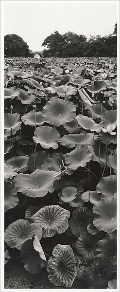 Xi Hu, Hangzhou, Zhejiang, China, Lois Conner (American, born New York, 1951), Inkjet print 