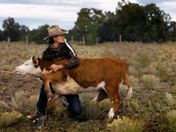 Ruth Leonard Secures a Calf in Her Pasture