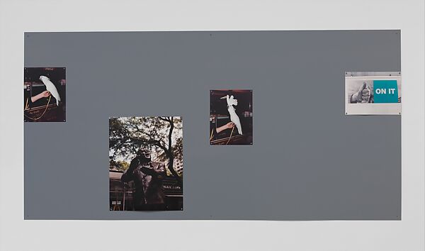 Untitled (Group 7), Matt Keegan (American, born Manhasset, New York, 1976), Chromogenic prints attached to sheet metal with spray-finished magnets 