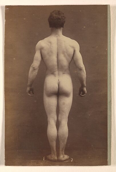 [Male Musculature Study], Albert Londe (French, 1858–1917), Albumen silver print 