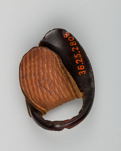 Archer's Ring, Tortoise shell, leather, Turkish