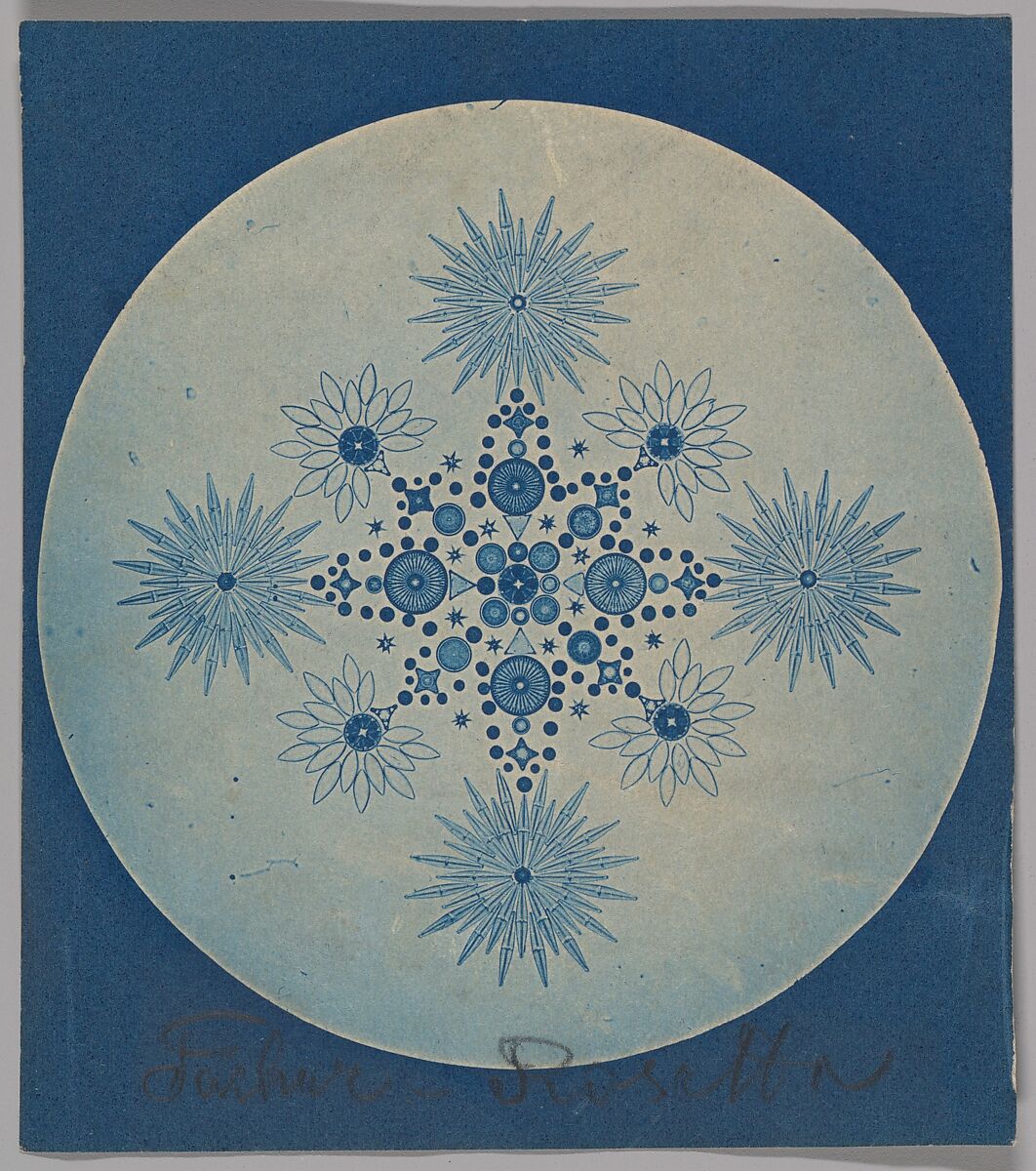 [Frustules of Diatoms], Attributed to Julius Wiesner (Austrian, 1838–1916), Cyanotype 