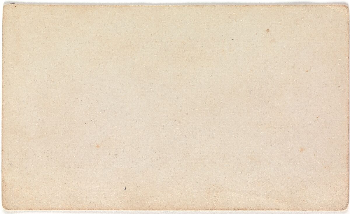 [Picture Gallery Photographs], Unknown (American), Albumen silver print from glass negative