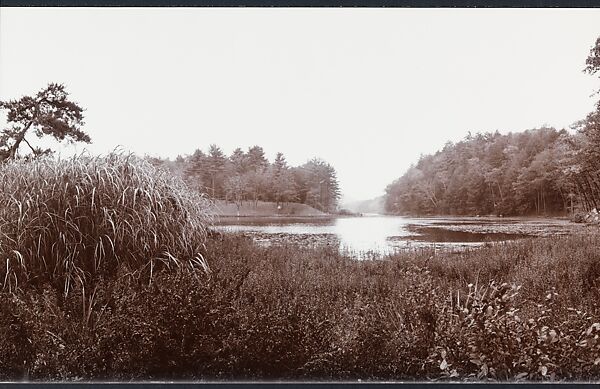 Untitled, John Yang (American, born China, Suchow 1933–2009 New York), Gelatin silver print