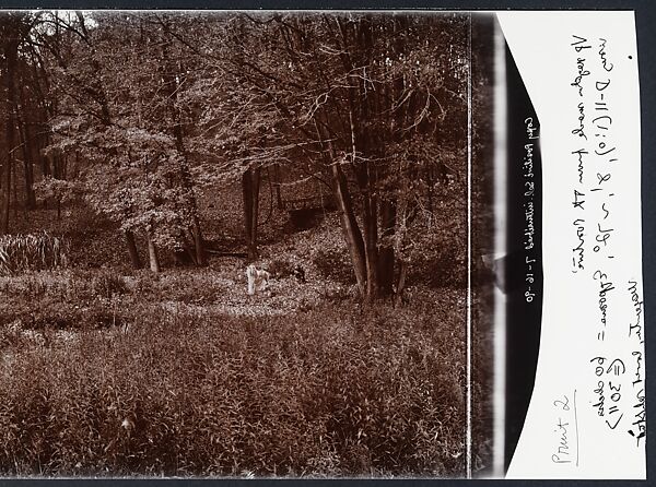 Untitled, John Yang (American, born China, Suchow 1933–2009 New York), Gelatin silver print