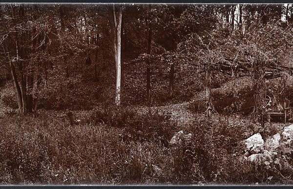 Untitled, John Yang (American, born China, Suchow 1933–2009 New York), Gelatin silver print