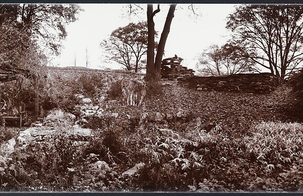 Untitled, John Yang (American, born China, Suchow 1933–2009 New York), Gelatin silver print