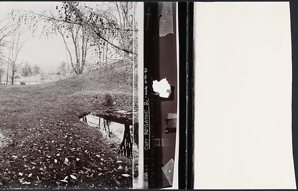 Serpent, John Yang (American, born China, Suchow 1933–2009 New York), Gelatin silver print