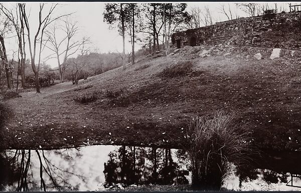 Serpent, John Yang (American, born China, Suchow 1933–2009 New York), Gelatin silver print