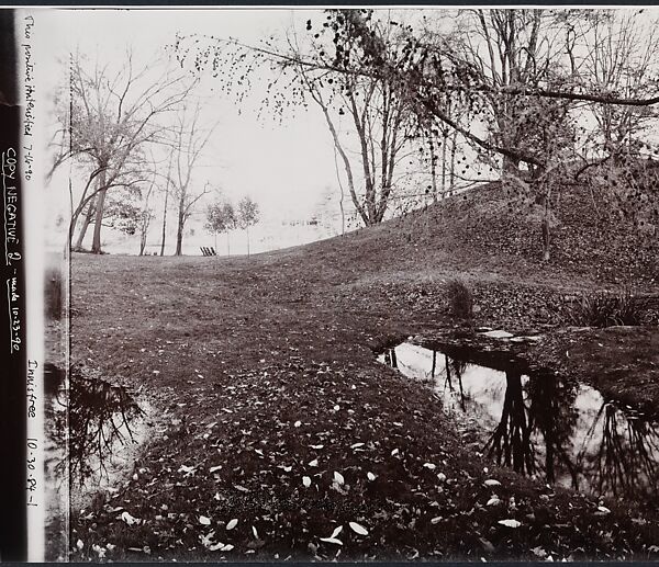 Serpent, John Yang (American, born China, Suchow 1933–2009 New York), Gelatin silver print