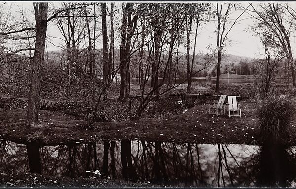 Serpent, John Yang (American, born China, Suchow 1933–2009 New York), Gelatin silver print