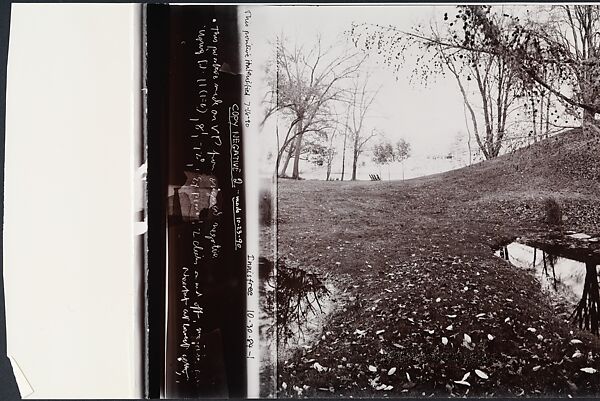 Serpent, John Yang (American, born China, Suchow 1933–2009 New York), Gelatin silver print