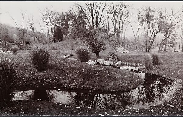 Serpent, John Yang (American, born China, Suchow 1933–2009 New York), Gelatin silver print