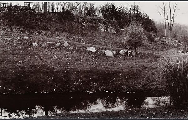 Serpent, John Yang (American, born China, Suchow 1933–2009 New York), Gelatin silver print