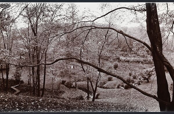 Shad Knoll, John Yang (American, born China, Suchow 1933–2009 New York), Gelatin silver print