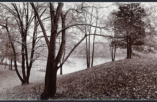 Shad Knoll, John Yang (American, born China, Suchow 1933–2009 New York), Gelatin silver print