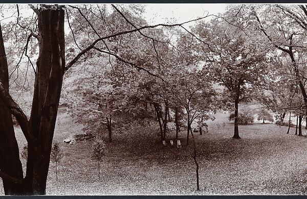 Shad Knoll, John Yang (American, born China, Suchow 1933–2009 New York), Gelatin silver print