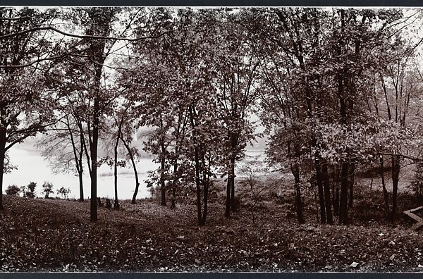 Shad Knoll, John Yang (American, born China, Suchow 1933–2009 New York), Gelatin silver print