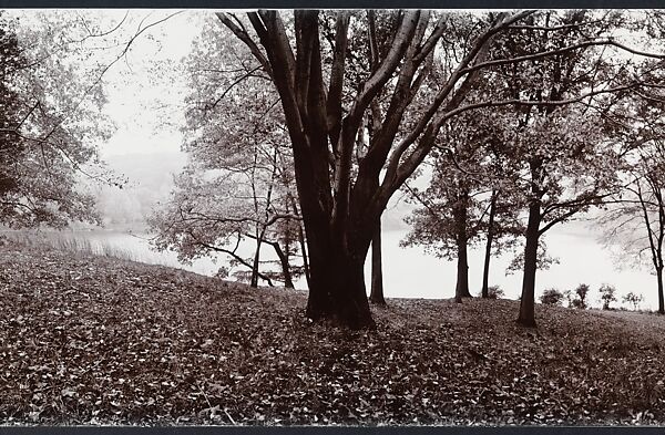 Shad Knoll, John Yang (American, born China, Suchow 1933–2009 New York), Gelatin silver print