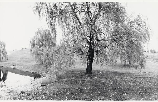 Untitled, John Yang (American, born China, Suchow 1933–2009 New York), Gelatin silver print