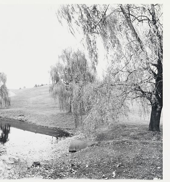 Untitled, John Yang (American, born China, Suchow 1933–2009 New York), Gelatin silver print