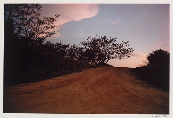 Untitled (Near Morton, Mississippi), William Eggleston (American, born Memphis, Tennessee, 1939), Dye transfer print 