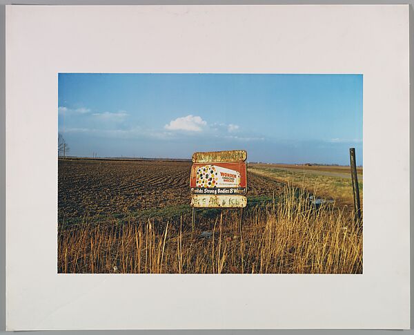 Untitled (Mississippi), William Eggleston (American, born Memphis, Tennessee, 1939), Dye transfer print 