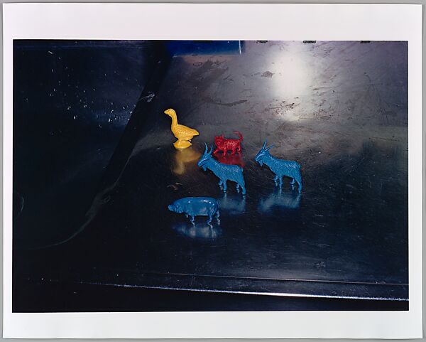 14 Pictures, William Eggleston (American, born Memphis, Tennessee, 1939), Ink on paper