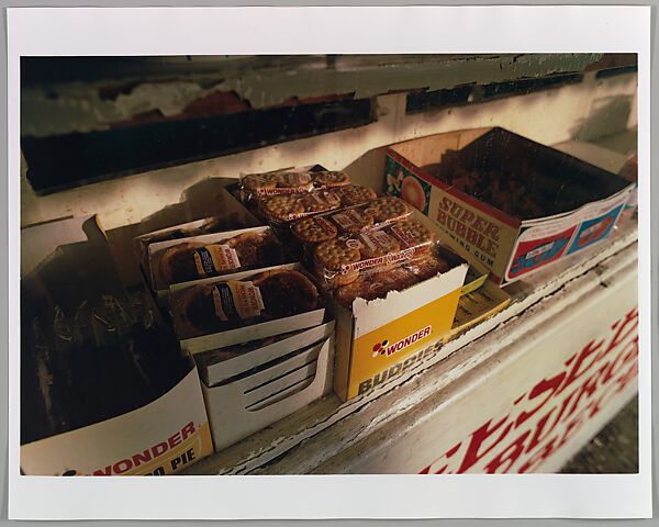 14 Pictures, William Eggleston (American, born Memphis, Tennessee, 1939), Ink on paper
