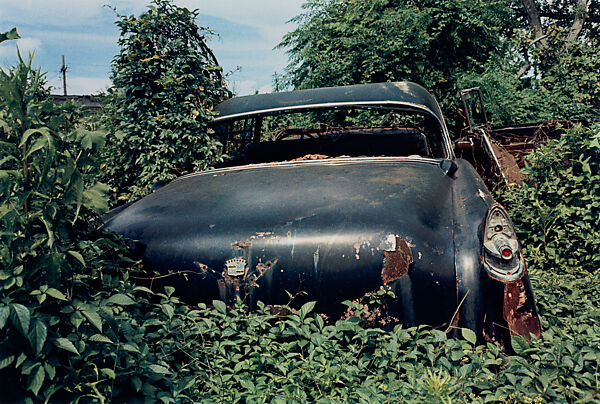 Untitled (Back of Black Car in Green Vines), William Eggleston (American, born Memphis, Tennessee, 1939), Dye transfer print 