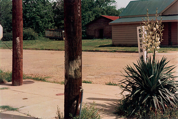 Untitled (Pole and South Ave Marker), William Eggleston (American, born Memphis, Tennessee, 1939), Dye transfer print 