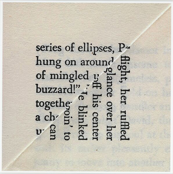 Buzzard, Erica Baum (American, born New York, 1961), Inkjet print 