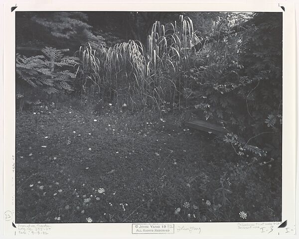 [Innisfree Garden, Millbrook, NY], John Yang (American, born China, Suchow 1933–2009 New York), Palladium print 
