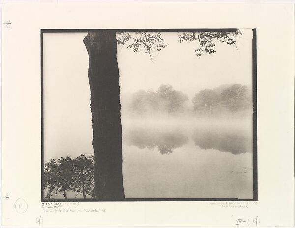 [Innisfree Garden, Millbrook, NY], John Yang (American, born China, Suchow 1933–2009 New York), Platinum print 