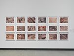 Desert Bloom 16, Fazal Sheikh (American, born 1965), Inkjet print