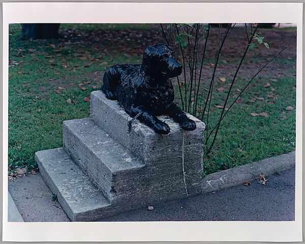 Untitled, William Eggleston (American, born Memphis, Tennessee, 1939), Dye transfer print 